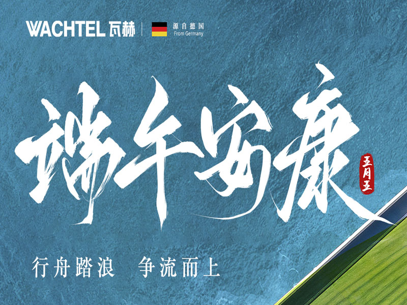 粽有千般好，唯君**粽要